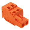Miniatura Immagine principale 1