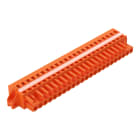 WAGO ELETTRONICA - Spina femmina per 1 conduttore.CAGE CLAMP®.2,5 mm².arancione
