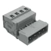 Miniatura Immagine principale 1