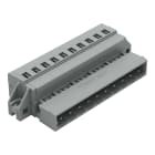 WAGO ELETTRONICA - Connettore maschio per 1 conduttore.CAGE CLAMP®.2,5 mm².grigio