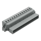 WAGO ELETTRONICA - Connettore maschio per 1 conduttore.CAGE CLAMP®.2,5 mm².grigio 231-613/019-000