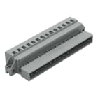 WAGO ELETTRONICA - Connettore maschio per 1 conduttore.CAGE CLAMP®.2,5 mm².grigio
