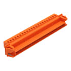 WAGO ELETTRONICA - Connettore maschio per 1 conduttore.CAGE CLAMP®.2,5 mm².arancione