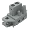 Miniatura Immagine principale 1