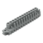 WAGO ELETTRONICA - Connettore femmina THT.dritto.Passo pin 5 mm.grigio 232-143/031-000