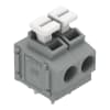 Miniatura Immagine principale 1