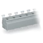 WAGO ELETTRONICA - Morsetto per circuito stampato.pulsante.2,5 mm².grigio 255-624