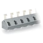 WAGO ELETTRONICA - Morsetto per circuito stampato.pulsante.2,5 mm².grigio 256-608
