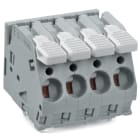 WAGO ELETTRONICA - Morsetto per circuito stampato.leva.6 mm².grigio