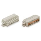 WAGO ELETTRONICA - Spina femmina per 1 conduttore.pulsante.Push-in CAGE CLAMP®.grigio chiaro