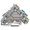 Miniatura Immagine principale 1