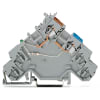 Miniatura Immagine principale 1