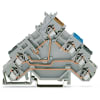 Miniatura Immagine principale 1