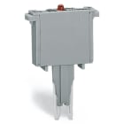 WAGO ELETTRONICA - Componente ad innesto.per morsetti di base.2 poli.grigio