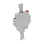 WAGO ELETTRONICA - Spina fusibilata.con linguetta estraibile.per fusibili miniaturizzati 5 x 20 mm e 5 x 25 mm.grigio