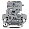 Miniatura Immagine principale 1