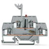 Miniatura Immagine principale 1