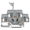 Miniatura Immagine principale 1
