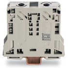 WAGO ELETTRONICA - Morsetto passante per 2 conduttori.50 mm².adatto per applicazioni Ex e II.grigio chiaro