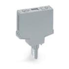 WAGO ELETTRONICA - Custodia vuota a innesto.Tipo 10.larghezza 15 mm.grigio 286-111