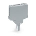 WAGO ELETTRONICA - Custodia vuota a innesto.Tipo 10.larghezza 15 mm.grigio