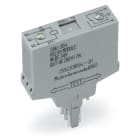 WAGO ELETTRONICA - Modulo relè.Tensione nominale di ingresso: 24 V DC.1 contatto in scambio.grigio