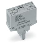 WAGO ELETTRONICA - Modulo relè.Tensione nominale di ingresso: 24 V DC.1 contatto NA e 1 contatto NC.grigio
