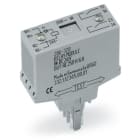 WAGO ELETTRONICA - Modulo relè.Tensione nominale di ingresso: 24 V DC.2 contatto NA.grigio