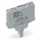 WAGO ELETTRONICA - Modulo relè.Tensione nominale di ingresso: 24 V DC.1 contatto NA.grigio