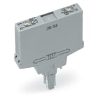 WAGO ELETTRONICA - Modulo relè.Tensione nominale di ingresso: 24 V DC.1 contatto NC.grigio