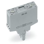 WAGO ELETTRONICA - Modulo relè.Tensione nominale di ingresso: 24 V DC.1 contatto NA.grigio