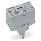 WAGO ELETTRONICA - Modulo per il controllo del flusso di corrente.Correnti CA.Intervallo di controllo: 1 A – 10 A.grigio chiaro