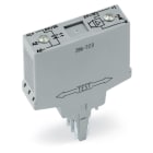 WAGO ELETTRONICA - Modulo optoaccoppiatore.Tensione nominale di ingresso: 24 V DC.Intervallo tensione d'uscita: da 15 a 30 V DC.grigio
