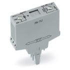 WAGO ELETTRONICA - Modulo optoaccoppiatore.Tensione nominale di ingresso: 24 V DC.Intervallo tensione d'uscita: da 20 a 30 V DC.grigio
