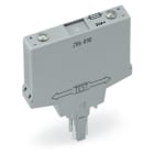 WAGO ELETTRONICA - Modulo componente con fusibile.per microfusibile di 5 x 20 mm.Tensione nominale: 24 V AC/DC.grigio