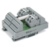 Miniatura Immagine principale 1