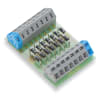 Miniatura Immagine principale 1