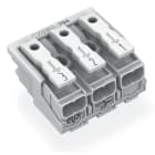 WAGO ELETTRONICA - Connettore per illuminazione.pulsante, esterno.senza contatto di terra.bianco