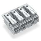 WAGO ELETTRONICA - Connettore per illuminazione.pulsante, esterno.senza contatto di terra.bianco