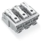 WAGO ELETTRONICA - Connettore per illuminazione.pulsante, esterno.senza contatto di terra.bianco 294-5013