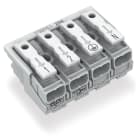 WAGO ELETTRONICA - Connettore per illuminazione.pulsante, esterno.senza contatto di terra.bianco