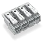 WAGO ELETTRONICA - Connettore per illuminazione.pulsante, esterno.senza contatto di terra.bianco