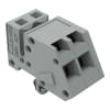 Miniatura Immagine principale 1