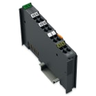 WAGO ELETTRONICA - Ingresso analogico a 2 canali.0 - 30 V DC.Ingresso differenziale.grigio scuro