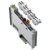 Miniatura Immagine principale 1