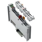 WAGO ELETTRONICA - Ingresso analogico a 2 canali.0 - 10 V DC.Single-ended.grigio chiaro