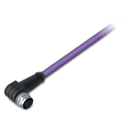 WAGO ELETTRONICA - Cavo PROFIBUS.Presa M12B. angolata.5 poli.viola