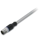 WAGO ELETTRONICA - Cavo di potenza.Spina M12A. assiale.4 poli.grigio