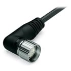 WAGO ELETTRONICA - Cavo di connessione.12 poli.Lunghezza: 10 m.nero