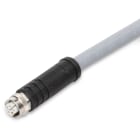 WAGO ELETTRONICA - Cavo di potenza.Presa M12L. assiale.5 poli